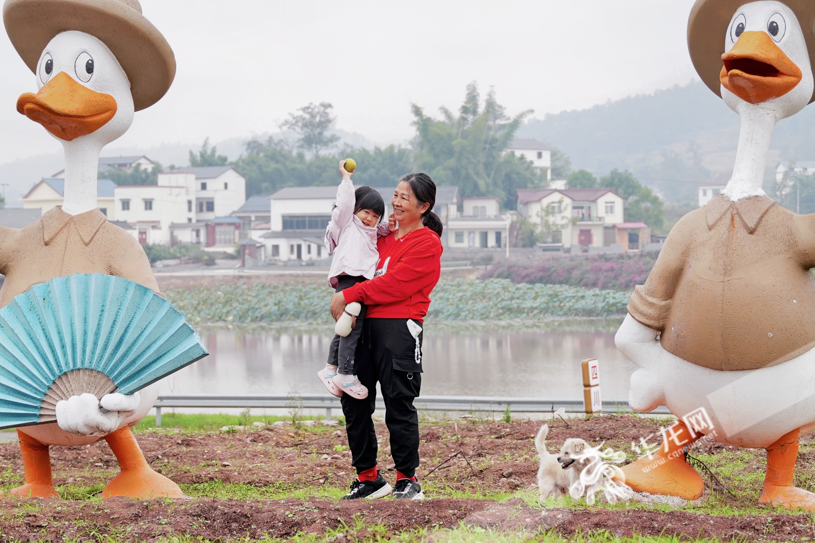 榮昌與隆昌攜手共建的成渝現(xiàn)代高效特色農(nóng)業(yè)帶“雙昌”合作示范園區(qū)。華龍網(wǎng) 辛飛 攝