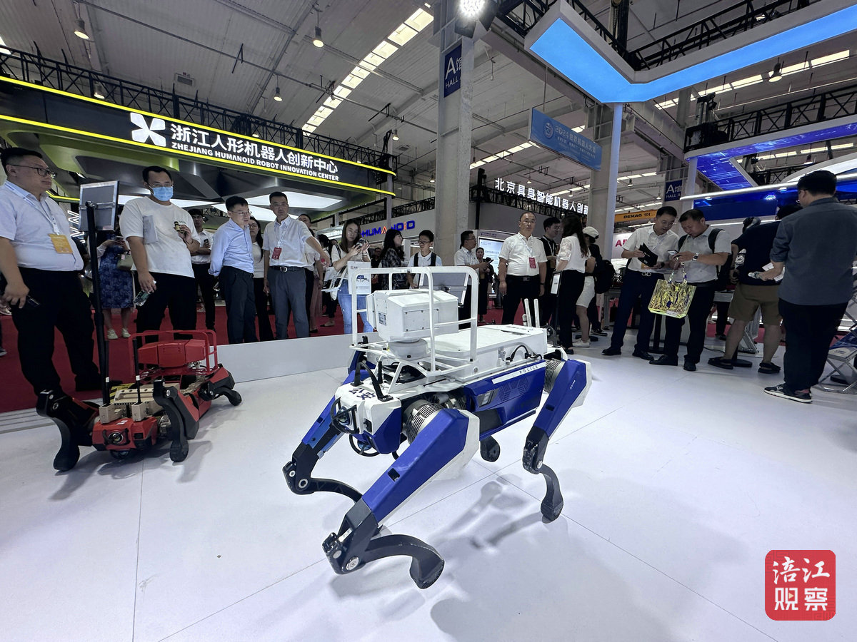 “綿陽(yáng)造”機(jī)器人亮相2024世界機(jī)器人大會(huì)6_1.jpg